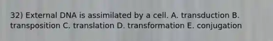 32) External DNA is assimilated by a cell. A. transduction B. transposition C. translation D. transformation E. conjugation