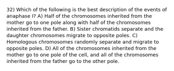 32) Which of the following is the best description of the events of anaphase I? A) Half of the chromosomes inherited from the mother go to one pole along with half of the chromosomes inherited from the father. B) Sister chromatids separate and the daughter chromosomes migrate to opposite poles. C) Homologous chromosomes randomly separate and migrate to opposite poles. D) All of the chromosomes inherited from the mother go to one pole of the cell, and all of the chromosomes inherited from the father go to the other pole.