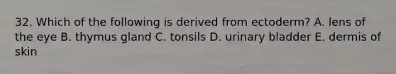 32. Which of the following is derived from ectoderm? A. lens of the eye B. thymus gland C. tonsils D. urinary bladder E. dermis of skin