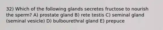 32) Which of the following glands secretes fructose to nourish the sperm? A) prostate gland B) rete testis C) seminal gland (seminal vesicle) D) bulbourethral gland E) prepuce