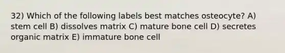 32) Which of the following labels best matches osteocyte? A) stem cell B) dissolves matrix C) mature bone cell D) secretes organic matrix E) immature bone cell