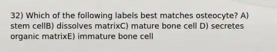 32) Which of the following labels best matches osteocyte? A) stem cellB) dissolves matrixC) mature bone cell D) secretes organic matrixE) immature bone cell