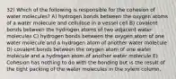 32) Which of the following is responsible for the cohesion of water molecules? A) hydrogen bonds between the oxygen atoms of a water molecule and cellulose in a vessel cell B) covalent bonds between the hydrogen atoms of two adjacent water molecules C) hydrogen bonds between the oxygen atom of one water molecule and a hydrogen atom of another water molecule D) covalent bonds between the oxygen atom of one water molecule and a hydrogen atom of another water molecule E) Cohesion has nothing to do with the bonding but is the result of the tight packing of the water molecules in the xylem column.