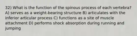 32) What is the function of the spinous process of each vertebra? A) serves as a weight-bearing structure B) articulates with the inferior articular process C) functions as a site of muscle attachment D) performs shock absorption during running and jumping