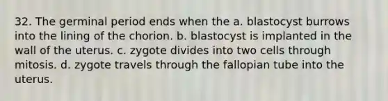 32. The germinal period ends when the a. blastocyst burrows into the lining of the chorion. b. blastocyst is implanted in the wall of the uterus. c. zygote divides into two cells through mitosis. d. zygote travels through the fallopian tube into the uterus.