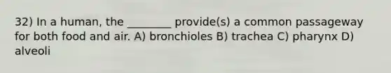 32) In a human, the ________ provide(s) a common passageway for both food and air. A) bronchioles B) trachea C) pharynx D) alveoli