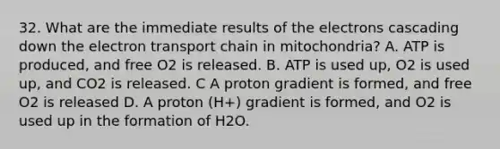 32. What are the immediate results of the electrons cascading down the electron transport chain in mitochondria? A. ATP is produced, and free O2 is released. B. ATP is used up, O2 is used up, and CO2 is released. C A proton gradient is formed, and free O2 is released D. A proton (H+) gradient is formed, and O2 is used up in the formation of H2O.