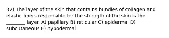 32) The layer of the skin that contains bundles of collagen and elastic fibers responsible for the strength of the skin is the ________ layer. A) papillary B) reticular C) epidermal D) subcutaneous E) hypodermal