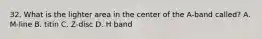 32. What is the lighter area in the center of the A-band called? A. M-line B. titin C. Z-disc D. H band