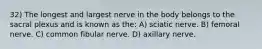 32) The longest and largest nerve in the body belongs to the sacral plexus and is known as the: A) sciatic nerve. B) femoral nerve. C) common fibular nerve. D) axillary nerve.