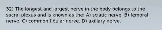 32) The longest and largest nerve in the body belongs to the sacral plexus and is known as the: A) sciatic nerve. B) femoral nerve. C) common fibular nerve. D) axillary nerve.