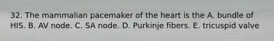 32. The mammalian pacemaker of the heart is the A. bundle of HIS. B. AV node. C. SA node. D. Purkinje fibers. E. tricuspid valve