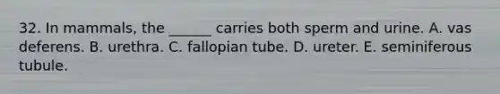 32. In mammals, the ______ carries both sperm and urine. A. vas deferens. B. urethra. C. fallopian tube. D. ureter. E. seminiferous tubule.