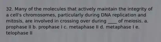 32. Many of the molecules that actively maintain the integrity of a cell's chromosomes, particularly during DNA replication and mitosis, are involved in crossing over during ____ of meiosis. a. prophase II b. prophase I c. metaphase II d. metaphase I e. telophase II