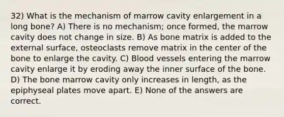 32) What is the mechanism of marrow cavity enlargement in a long bone? A) There is no mechanism; once formed, the marrow cavity does not change in size. B) As bone matrix is added to the external surface, osteoclasts remove matrix in the center of the bone to enlarge the cavity. C) Blood vessels entering the marrow cavity enlarge it by eroding away the inner surface of the bone. D) The bone marrow cavity only increases in length, as the epiphyseal plates move apart. E) None of the answers are correct.