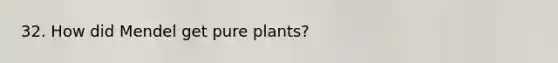 32. How did Mendel get pure plants?