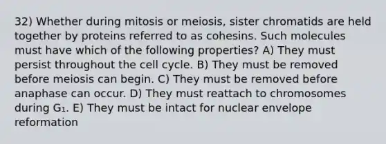 32) Whether during mitosis or meiosis, sister chromatids are held together by proteins referred to as cohesins. Such molecules must have which of the following properties? A) They must persist throughout the cell cycle. B) They must be removed before meiosis can begin. C) They must be removed before anaphase can occur. D) They must reattach to chromosomes during G₁. E) They must be intact for nuclear envelope reformation