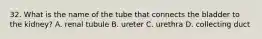 32. What is the name of the tube that connects the bladder to the kidney? A. renal tubule B. ureter C. urethra D. collecting duct