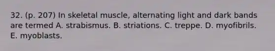 32. (p. 207) In skeletal muscle, alternating light and dark bands are termed A. strabismus. B. striations. C. treppe. D. myofibrils. E. myoblasts.