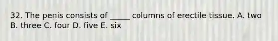 32. The penis consists of _____ columns of erectile tissue. A. two B. three C. four D. five E. six