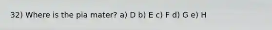 32) Where is the pia mater? a) D b) E c) F d) G e) H