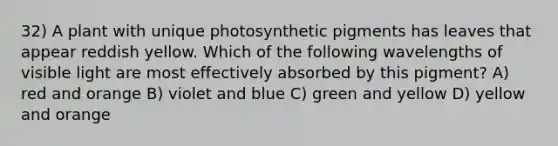 32) A plant with unique photosynthetic pigments has leaves that appear reddish yellow. Which of the following wavelengths of visible light are most effectively absorbed by this pigment? A) red and orange B) violet and blue C) green and yellow D) yellow and orange