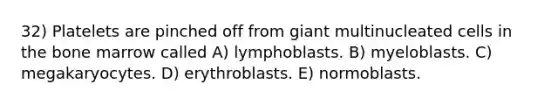 32) Platelets are pinched off from giant multinucleated cells in the bone marrow called A) lymphoblasts. B) myeloblasts. C) megakaryocytes. D) erythroblasts. E) normoblasts.