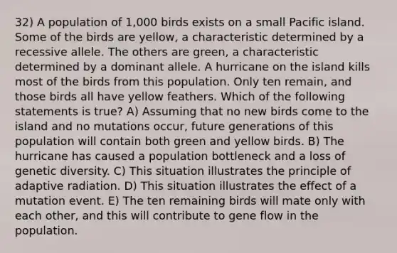 32) A population of 1,000 birds exists on a small Pacific island. Some of the birds are yellow, a characteristic determined by a recessive allele. The others are green, a characteristic determined by a dominant allele. A hurricane on the island kills most of the birds from this population. Only ten remain, and those birds all have yellow feathers. Which of the following statements is true? A) Assuming that no new birds come to the island and no mutations occur, future generations of this population will contain both green and yellow birds. B) The hurricane has caused a population bottleneck and a loss of genetic diversity. C) This situation illustrates the principle of adaptive radiation. D) This situation illustrates the effect of a mutation event. E) The ten remaining birds will mate only with each other, and this will contribute to gene flow in the population.