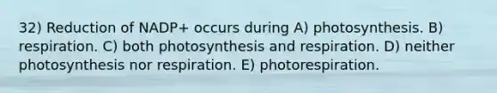 32) Reduction of NADP+ occurs during A) photosynthesis. B) respiration. C) both photosynthesis and respiration. D) neither photosynthesis nor respiration. E) photorespiration.