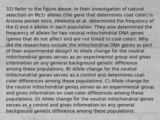 32) Refer to the figure above. In their investigation of natural selection on Mc1r alleles (the gene that determines coat color) in Arizona pocket mice, Hoekstra et al. determined the frequency of the D and d alleles in each population. They also determined the frequency of alleles for two neutral mitochondrial DNA genes (genes that do not affect and are not linked to coat color). Why did the researchers include the mitochondrial DNA genes as part of their experimental design? A) Allele change for the neutral mitochondrial genes serves as an experimental group and gives information on any general background genetic difference among these populations. B) Allele change for the neutral mitochondrial genes serves as a control and determines coat- color differences among these populations. C) Allele change for the neutral mitochondrial genes serves as an experimental group and gives information on coat-color differences among these populations. D) Allele change for the neutral mitochondrial genes serves as a control and gives information on any general background genetic difference among these populations.