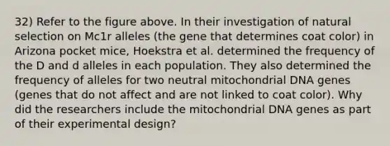 32) Refer to the figure above. In their investigation of natural selection on Mc1r alleles (the gene that determines coat color) in Arizona pocket mice, Hoekstra et al. determined the frequency of the D and d alleles in each population. They also determined the frequency of alleles for two neutral mitochondrial DNA genes (genes that do not affect and are not linked to coat color). Why did the researchers include the mitochondrial DNA genes as part of their experimental design?