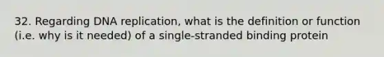 32. Regarding <a href='https://www.questionai.com/knowledge/kofV2VQU2J-dna-replication' class='anchor-knowledge'>dna replication</a>, what is the definition or function (i.e. why is it needed) of a single-stranded binding protein