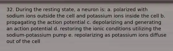 32. During the resting state, a neuron is: a. polarized with sodium ions outside the cell and potassium ions inside the cell b. propagating the action potential c. depolarizing and generating an action potential d. restoring the ionic conditions utilizing the sodium-potassium pump e. repolarizing as potassium ions diffuse out of the cell