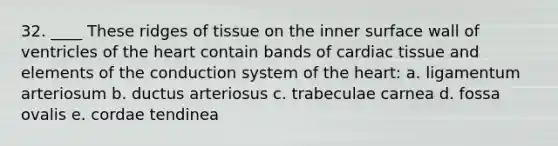 32. ____ These ridges of tissue on the inner surface wall of ventricles of the heart contain bands of cardiac tissue and elements of the conduction system of the heart: a. ligamentum arteriosum b. ductus arteriosus c. trabeculae carnea d. fossa ovalis e. cordae tendinea