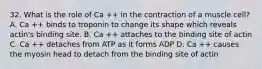 32. What is the role of Ca ++ in the contraction of a muscle cell? A. Ca ++ binds to troponin to change its shape which reveals actin's binding site. B. Ca ++ attaches to the binding site of actin C. Ca ++ detaches from ATP as it forms ADP D. Ca ++ causes the myosin head to detach from the binding site of actin