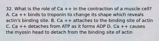 32. What is the role of Ca ++ in the contraction of a muscle cell? A. Ca ++ binds to troponin to change its shape which reveals actin's binding site. B. Ca ++ attaches to the binding site of actin C. Ca ++ detaches from ATP as it forms ADP D. Ca ++ causes the myosin head to detach from the binding site of actin