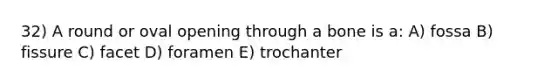 32) A round or oval opening through a bone is a: A) fossa B) fissure C) facet D) foramen E) trochanter