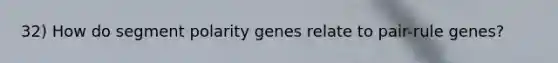 32) How do segment polarity genes relate to pair-rule genes?