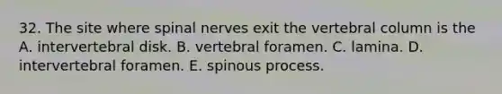 32. The site where <a href='https://www.questionai.com/knowledge/kyBL1dWgAx-spinal-nerves' class='anchor-knowledge'>spinal nerves</a> exit the <a href='https://www.questionai.com/knowledge/ki4fsP39zf-vertebral-column' class='anchor-knowledge'>vertebral column</a> is the A. intervertebral disk. B. vertebral foramen. C. lamina. D. intervertebral foramen. E. spinous process.