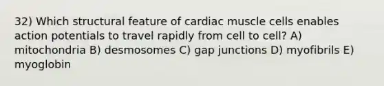 32) Which structural feature of cardiac muscle cells enables action potentials to travel rapidly from cell to cell? A) mitochondria B) desmosomes C) gap junctions D) myofibrils E) myoglobin