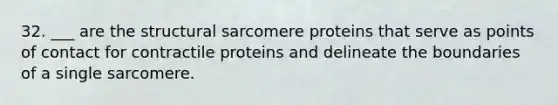 32. ___ are the structural sarcomere proteins that serve as points of contact for contractile proteins and delineate the boundaries of a single sarcomere.