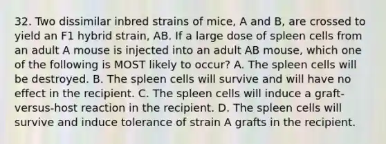 32. Two dissimilar inbred strains of mice, A and B, are crossed to yield an F1 hybrid strain, AB. If a large dose of spleen cells from an adult A mouse is injected into an adult AB mouse, which one of the following is MOST likely to occur? A. The spleen cells will be destroyed. B. The spleen cells will survive and will have no effect in the recipient. C. The spleen cells will induce a graft-versus-host reaction in the recipient. D. The spleen cells will survive and induce tolerance of strain A grafts in the recipient.