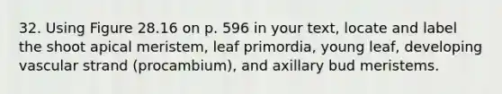 32. Using Figure 28.16 on p. 596 in your text, locate and label the shoot apical meristem, leaf primordia, young leaf, developing vascular strand (procambium), and axillary bud meristems.