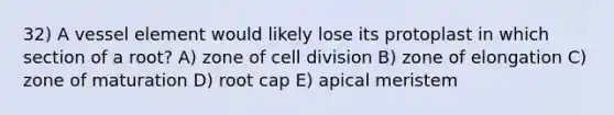 32) A vessel element would likely lose its protoplast in which section of a root? A) zone of cell division B) zone of elongation C) zone of maturation D) root cap E) apical meristem