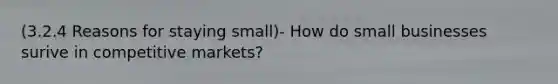 (3.2.4 Reasons for staying small)- How do small businesses surive in competitive markets?