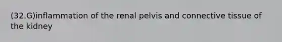 (32.G)inflammation of the renal pelvis and connective tissue of the kidney