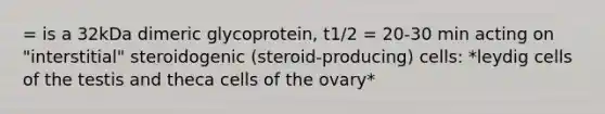 = is a 32kDa dimeric glycoprotein, t1/2 = 20-30 min acting on "interstitial" steroidogenic (steroid-producing) cells: *leydig cells of the testis and theca cells of the ovary*