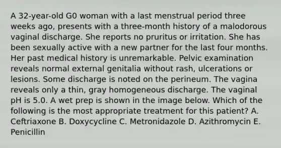 A 32-year-old G0 woman with a last menstrual period three weeks ago, presents with a three-month history of a malodorous vaginal discharge. She reports no pruritus or irritation. She has been sexually active with a new partner for the last four months. Her past medical history is unremarkable. Pelvic examination reveals normal external genitalia without rash, ulcerations or lesions. Some discharge is noted on the perineum. The vagina reveals only a thin, gray homogeneous discharge. The vaginal pH is 5.0. A wet prep is shown in the image below. Which of the following is the most appropriate treatment for this patient? A. Ceftriaxone B. Doxycycline C. Metronidazole D. Azithromycin E. Penicillin