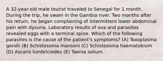 A 32-year-old male tourist traveled to Senegal for 1 month. During the trip, he swam in the Gambia river. Two months after his return, he began complaining of intermittent lower abdominal pain with dysuria. Laboratory results of ova and parasites revealed eggs with a terminal spine. Which of the following parasites is the cause of the patient's symptoms? (A) Toxoplasma gondii (B) Schistosoma mansoni (C) Schistosoma haematobium (D) Ascaris lumbricoides (E) Taenia solium