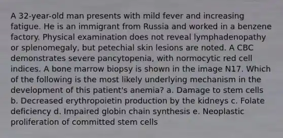 A 32-year-old man presents with mild fever and increasing fatigue. He is an immigrant from Russia and worked in a benzene factory. Physical examination does not reveal lymphadenopathy or splenomegaly, but petechial skin lesions are noted. A CBC demonstrates severe pancytopenia, with normocytic red cell indices. A bone marrow biopsy is shown in the image N17. Which of the following is the most likely underlying mechanism in the development of this patient's anemia? a. Damage to stem cells b. Decreased erythropoietin production by the kidneys c. Folate deficiency d. Impaired globin chain synthesis e. Neoplastic proliferation of committed stem cells